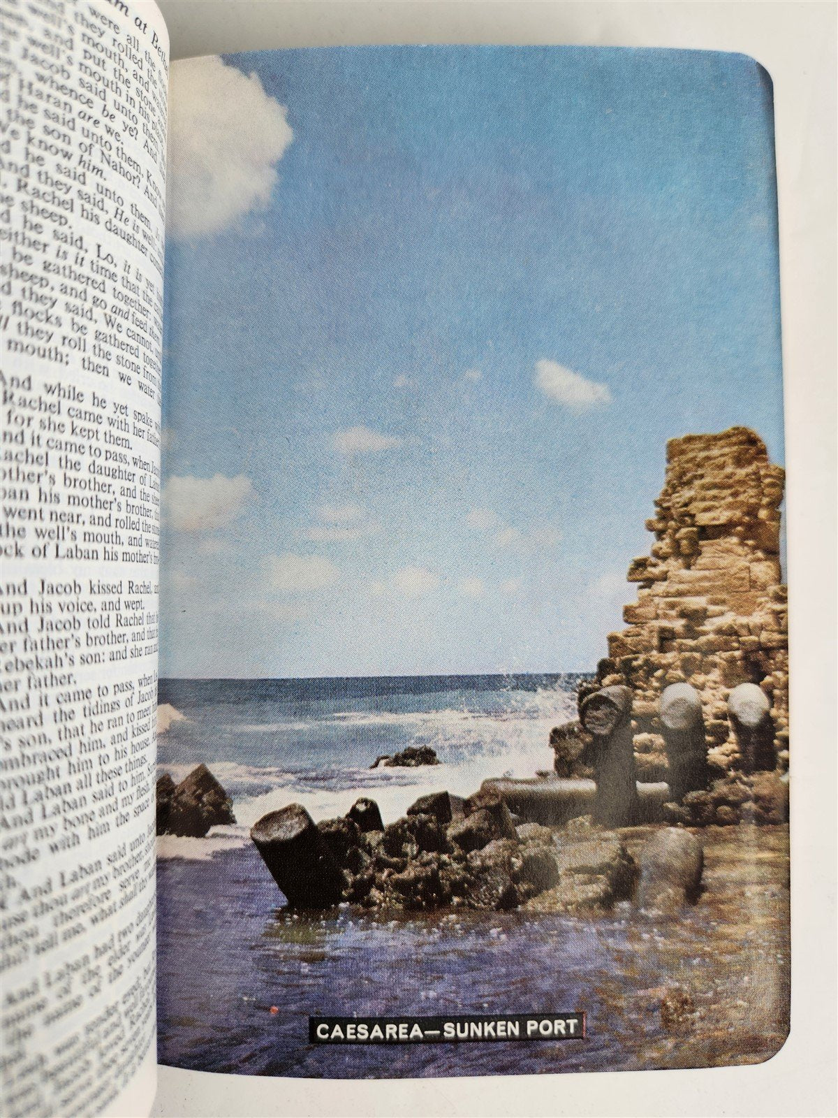 1950s BIBLE in ENGLISH w/ HOLY LAND PHOTOS & MOTHER-OF-PEARL BINDING vintage
