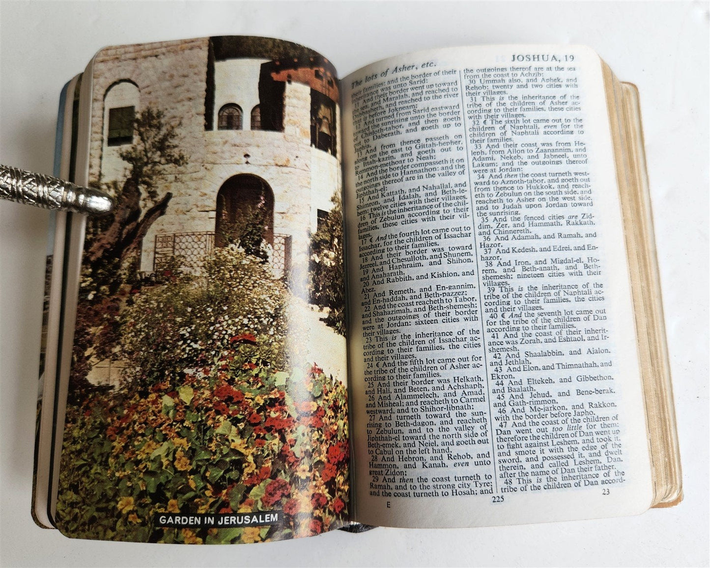 1950s BIBLE in ENGLISH w/ HOLY LAND PHOTOS & MOTHER-OF-PEARL BINDING vintage