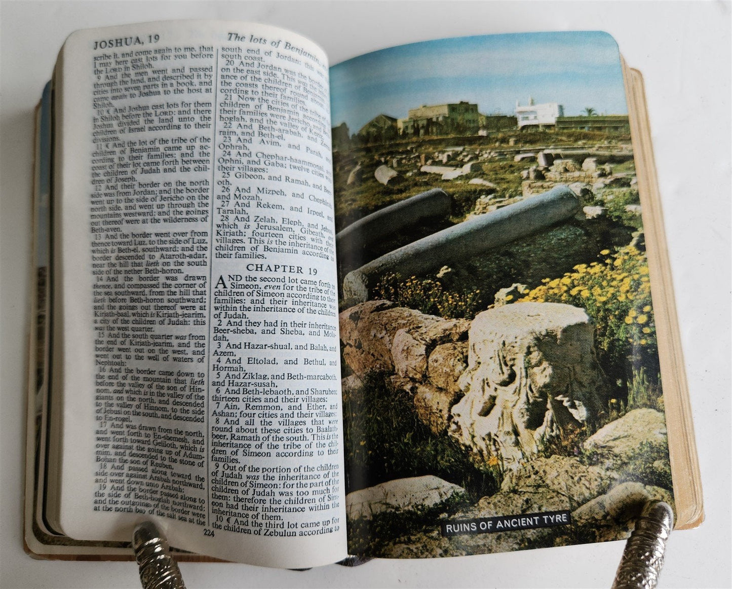 1950s BIBLE in ENGLISH w/ HOLY LAND PHOTOS & MOTHER-OF-PEARL BINDING vintage