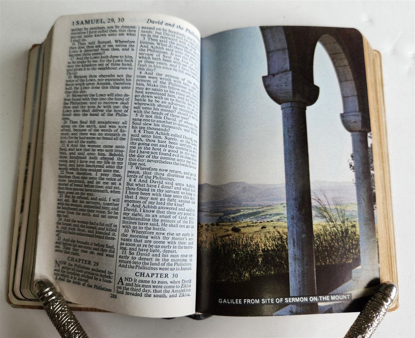 1950s BIBLE in ENGLISH w/ HOLY LAND PHOTOS & MOTHER-OF-PEARL BINDING vintage