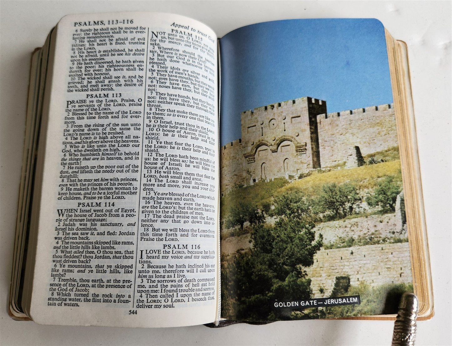 1950s BIBLE in ENGLISH w/ HOLY LAND PHOTOS & MOTHER-OF-PEARL BINDING vintage