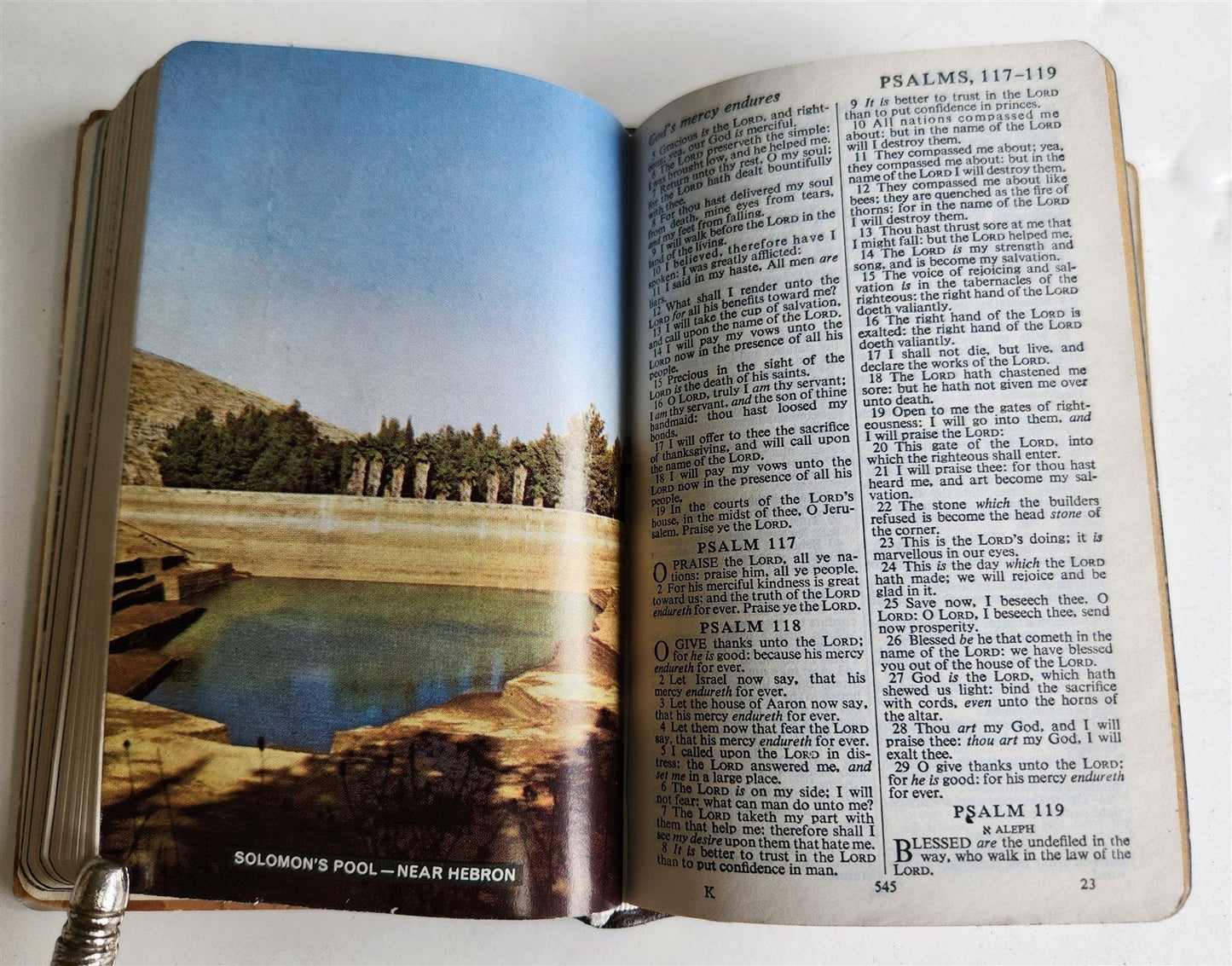 1950s BIBLE in ENGLISH w/ HOLY LAND PHOTOS & MOTHER-OF-PEARL BINDING vintage