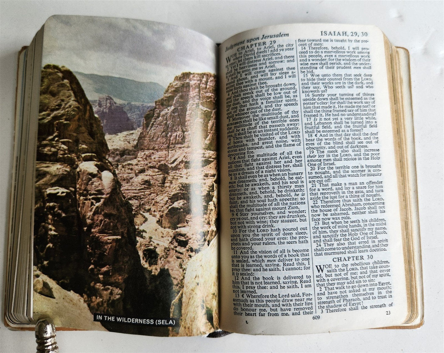 1950s BIBLE in ENGLISH w/ HOLY LAND PHOTOS & MOTHER-OF-PEARL BINDING vintage