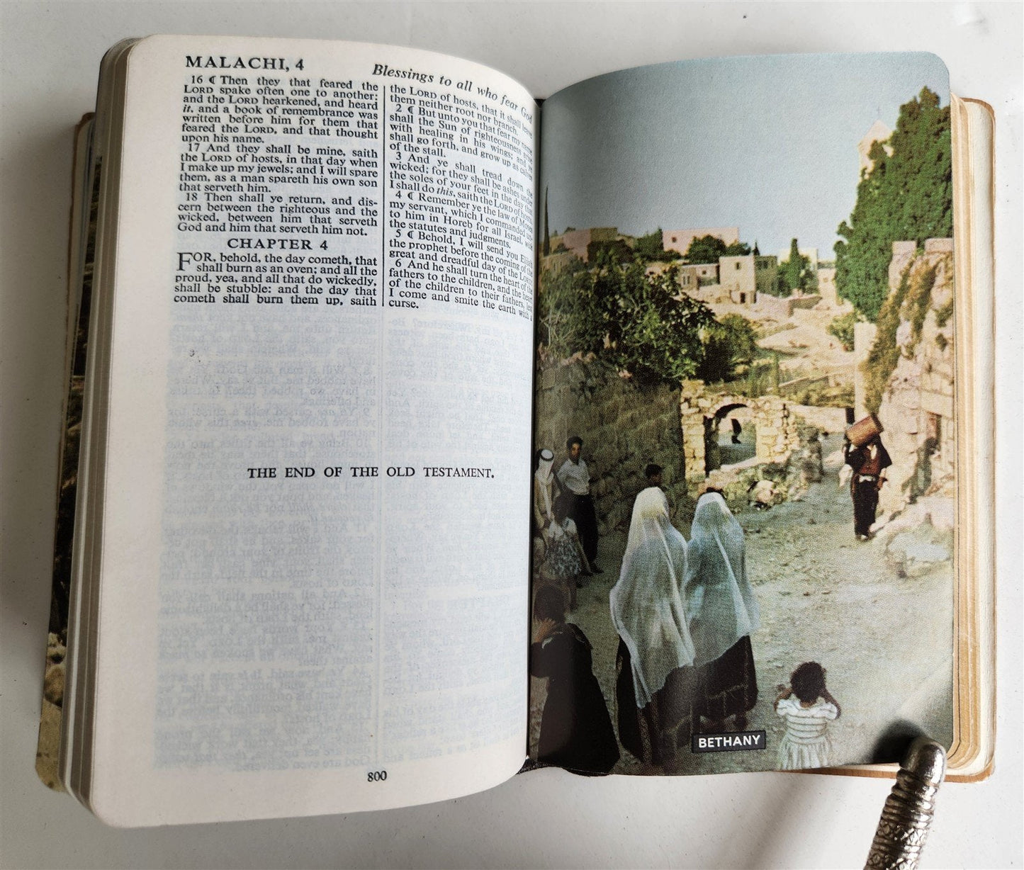 1950s BIBLE in ENGLISH w/ HOLY LAND PHOTOS & MOTHER-OF-PEARL BINDING vintage