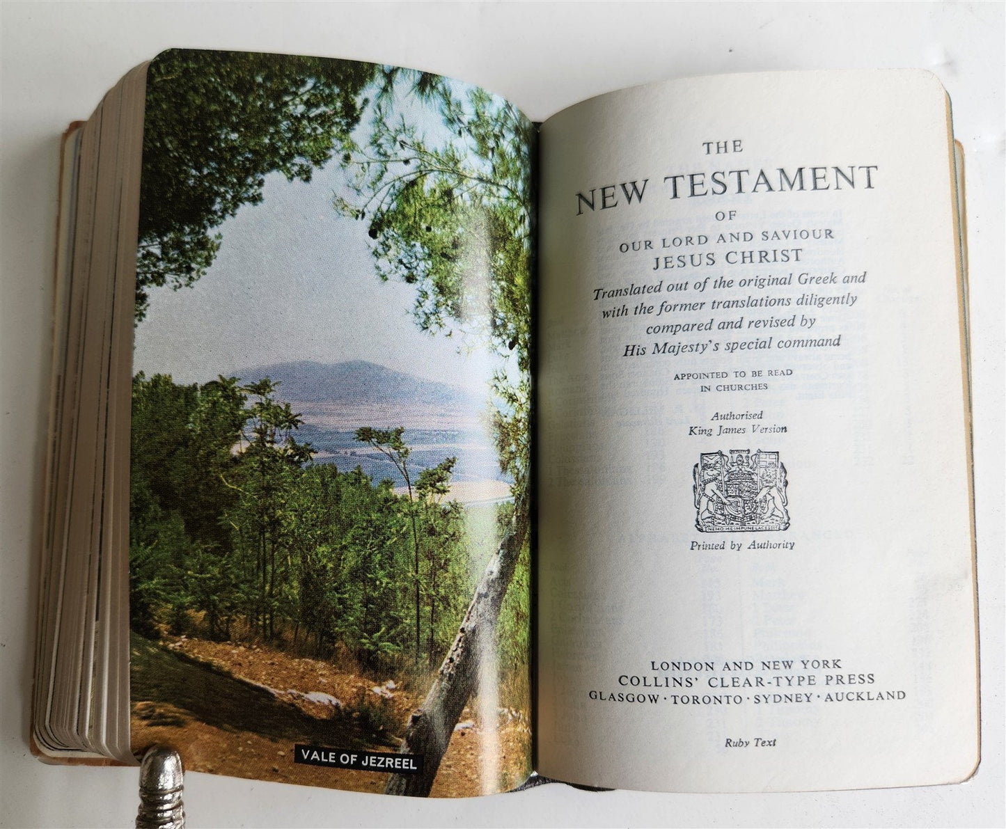 1950s BIBLE in ENGLISH w/ HOLY LAND PHOTOS & MOTHER-OF-PEARL BINDING vintage