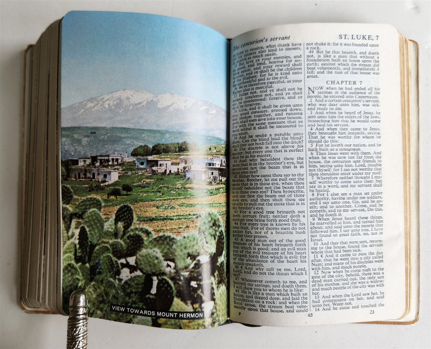 1950s BIBLE in ENGLISH w/ HOLY LAND PHOTOS & MOTHER-OF-PEARL BINDING vintage
