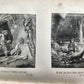 1852 LE DON QUICHOTTE de Cervantes by Paul Jouhanneaud antique ILLUSTRATED