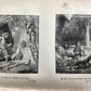 1852 LE DON QUICHOTTE de Cervantes by Paul Jouhanneaud antique ILLUSTRATED