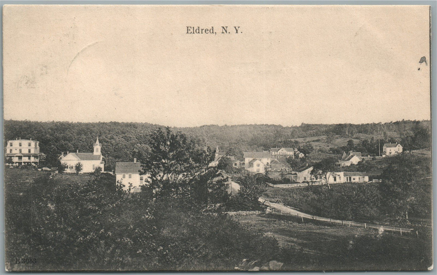 ELDRED NY GENERAL VIEW ANTIQUE POSTCARD
