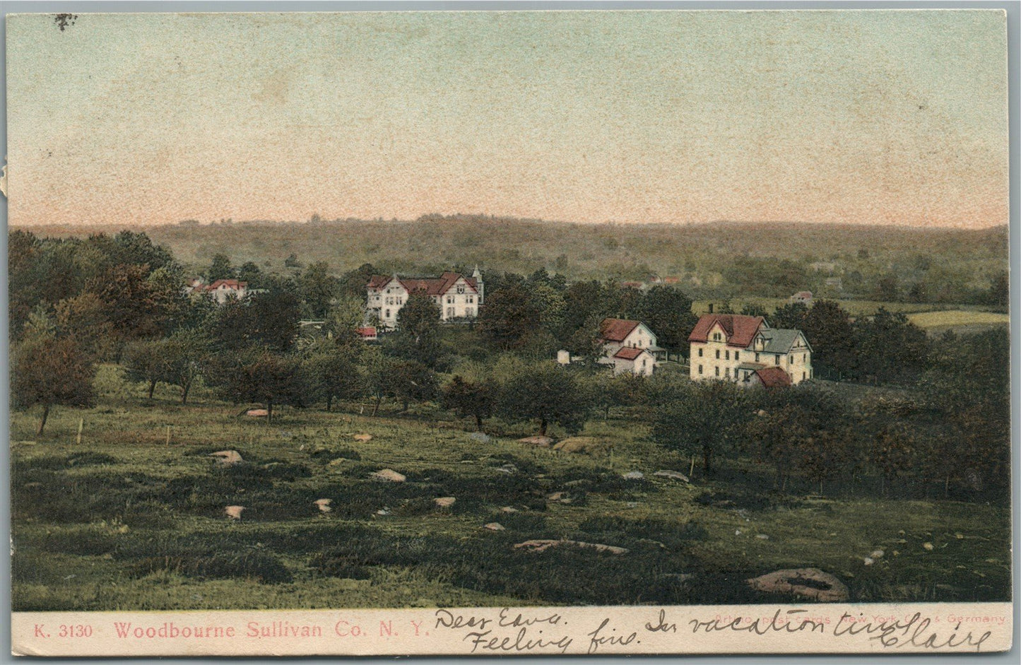 WOODBOURNE SULLIVAN CO. NY ANTIQUE POSTCARD