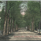 CHERRY VALLEY NY MONTGOMERY STREET ANTIQUE POSTCARD