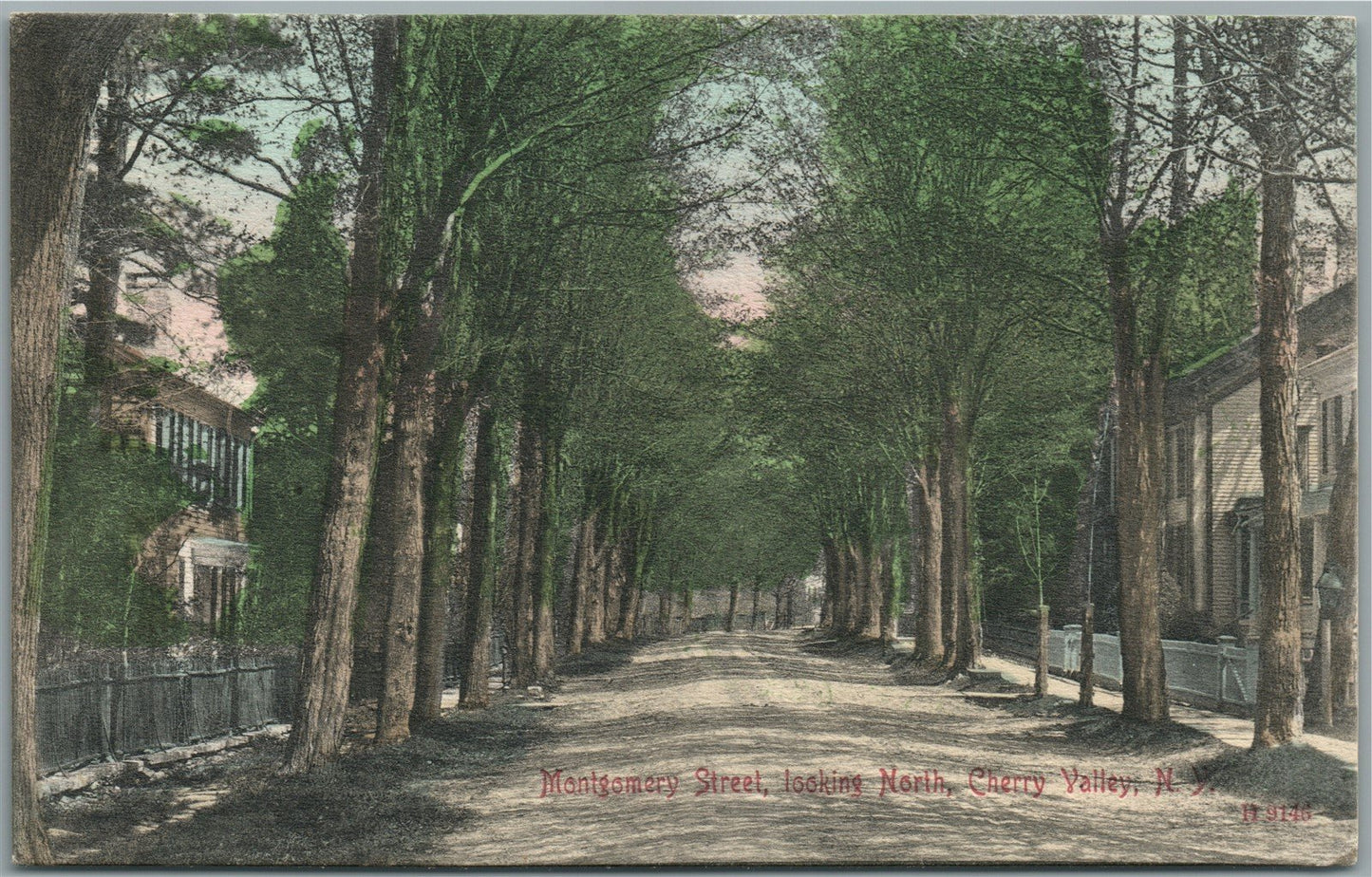 CHERRY VALLEY NY MONTGOMERY STREET ANTIQUE POSTCARD