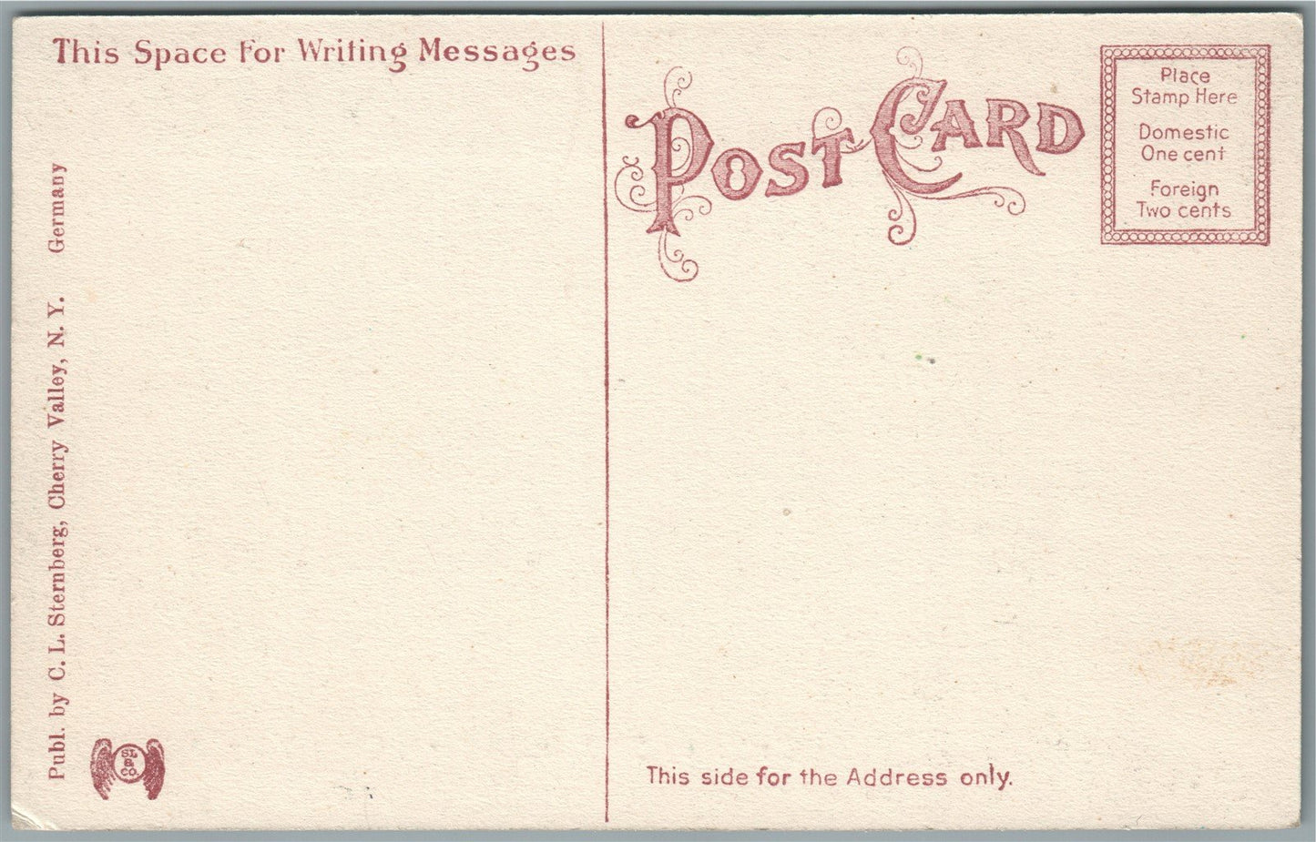 CHERRY VALLEY NY MONTGOMERY STREET ANTIQUE POSTCARD