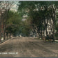 PEEKSKILL NY NELSON AVENUE ANTIQUE POSTCARD
