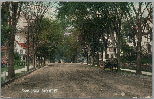 PEEKSKILL NY NELSON AVENUE ANTIQUE POSTCARD