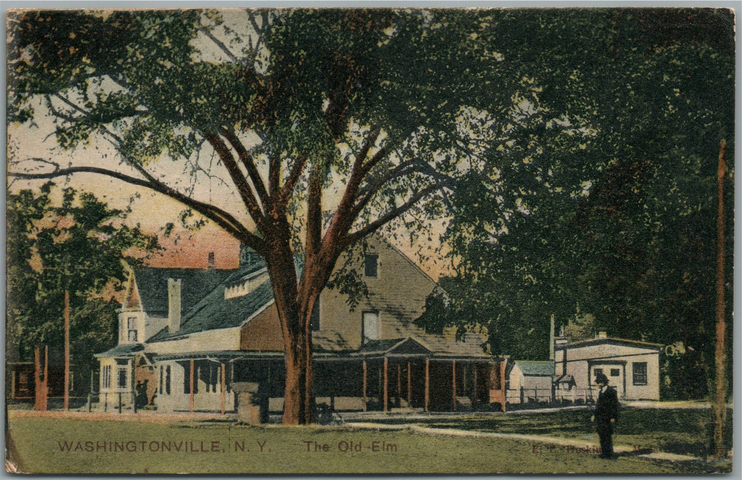 WASHINGTONVILLE NY THE OLD ELM ANTIQUE POSTCARD