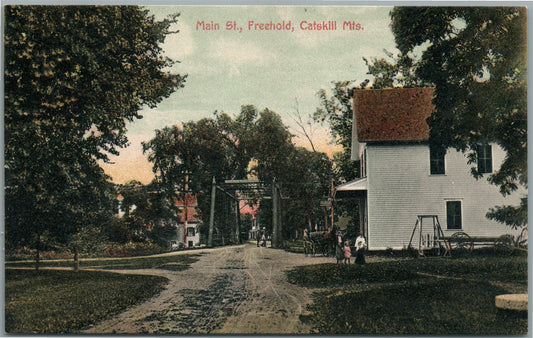 FREEHOLD CATSKILL MTS. NY MAIN STREET ANTIQUE POSTCARD