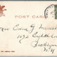 AMITYVILLE LI NY NEW POINT HOTEL & INN ANTIQUE POSTCARD