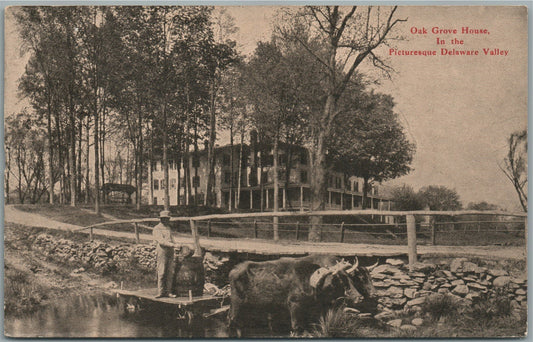 DELAWARE VALLEY PA OAK GROVE HOUSE ANTIQUE POSTCARD