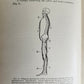 1922 INDIVIDUAL GYMNASTICS antique ILLUSTRATED