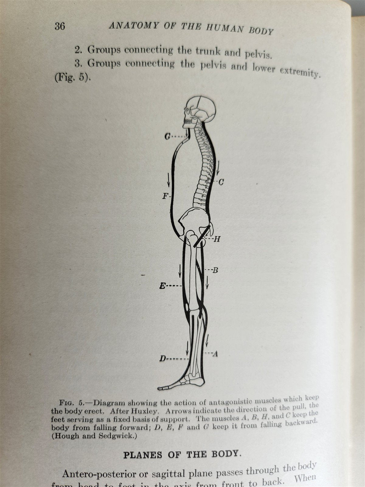 1922 INDIVIDUAL GYMNASTICS antique ILLUSTRATED