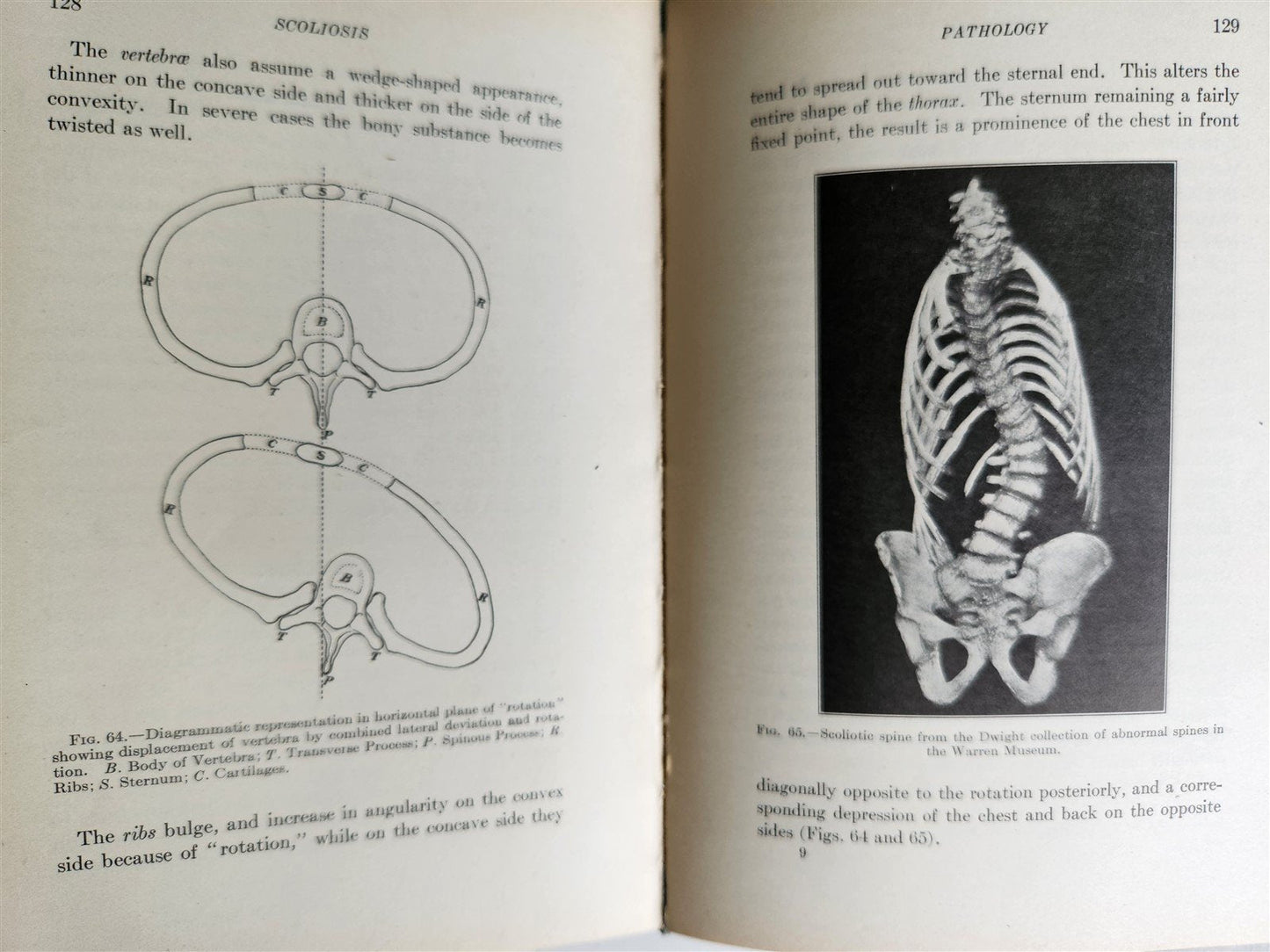 1922 INDIVIDUAL GYMNASTICS antique ILLUSTRATED