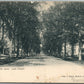 EASTHAMPTON MA PARK STREET ANTIQUE POSTCARD