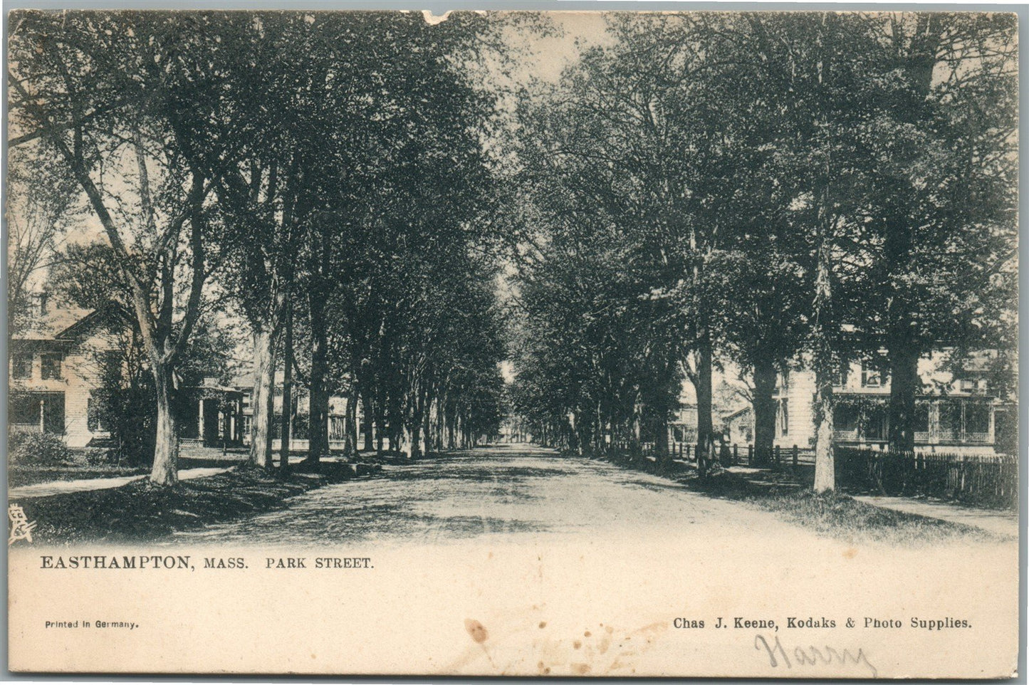 EASTHAMPTON MA PARK STREET ANTIQUE POSTCARD