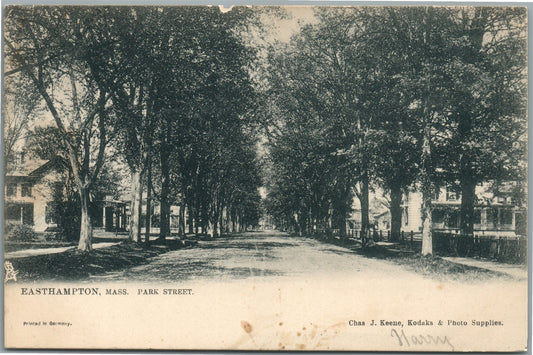 EASTHAMPTON MA PARK STREET ANTIQUE POSTCARD