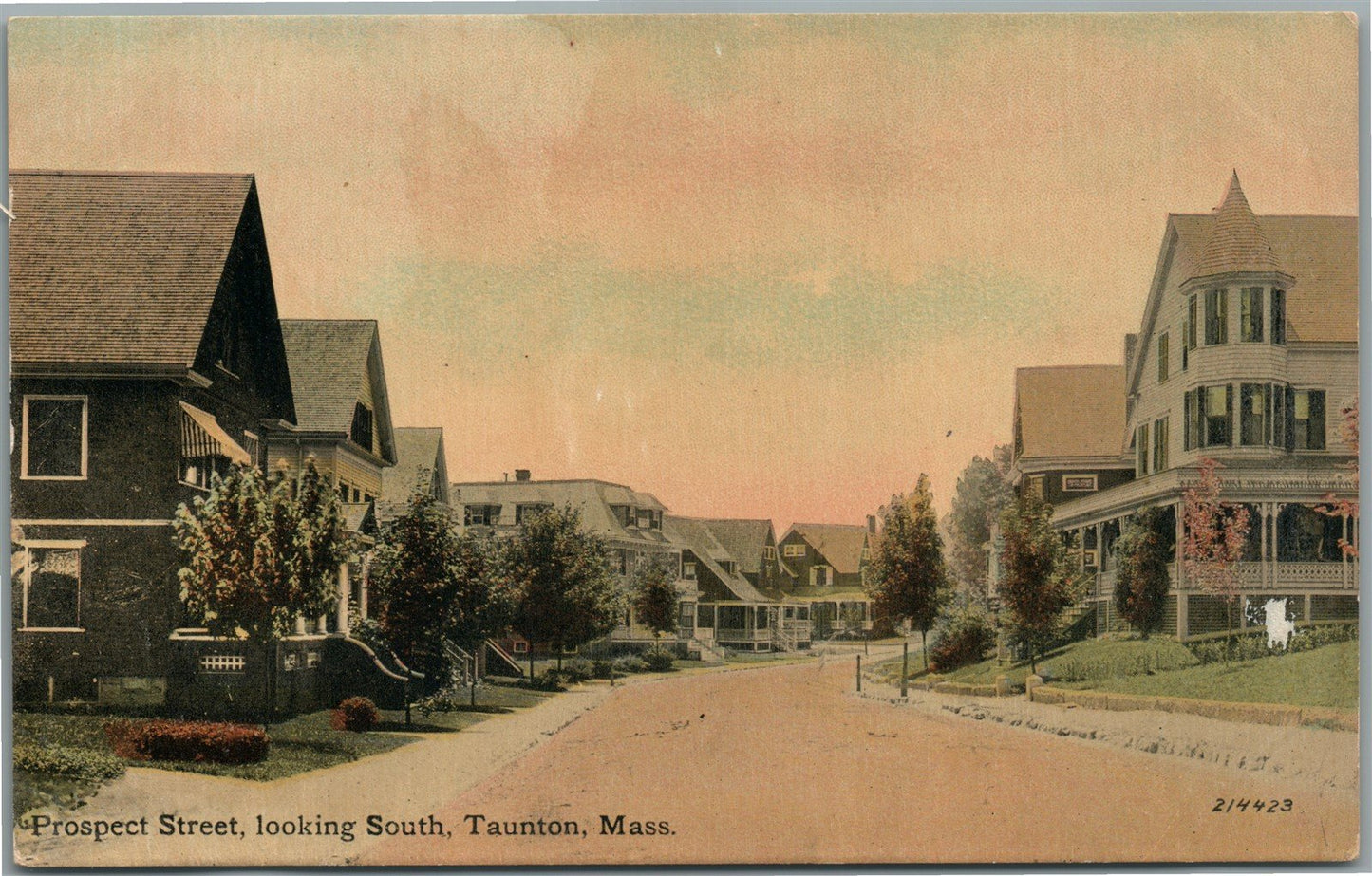 TAUNTON MA PROSPECT STREET LOOKING SOUTH ANTIQUE POSTCARD