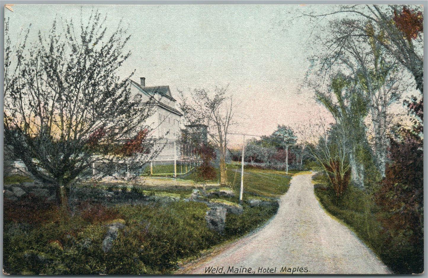 WELD ME HOTEL MAPLES ANTIQUE POSTCARD