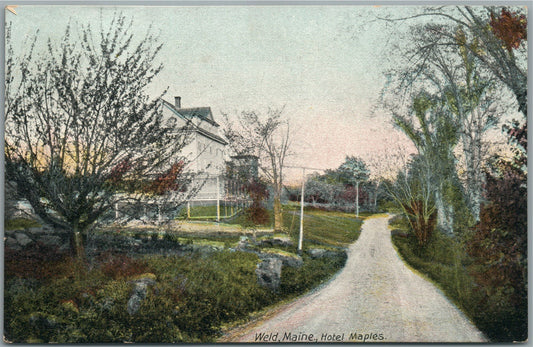 WELD ME HOTEL MAPLES ANTIQUE POSTCARD