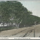 KING'S HIGHWAY BEAACHWOOD ME ANTIQUE POSTCARD