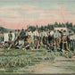 PENOBSCOT ME RIVER DRIVERS ANTIQUE POSTCARD
