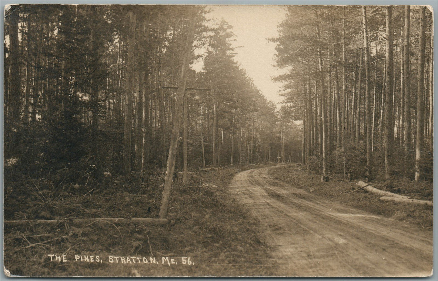 STRATTON ME THE PINES ANTIQUE REAL PHOTO POSTCARD RPPC