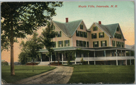 INTERVALE NH MAPLE VILLA ANTIQUE POSTCARD
