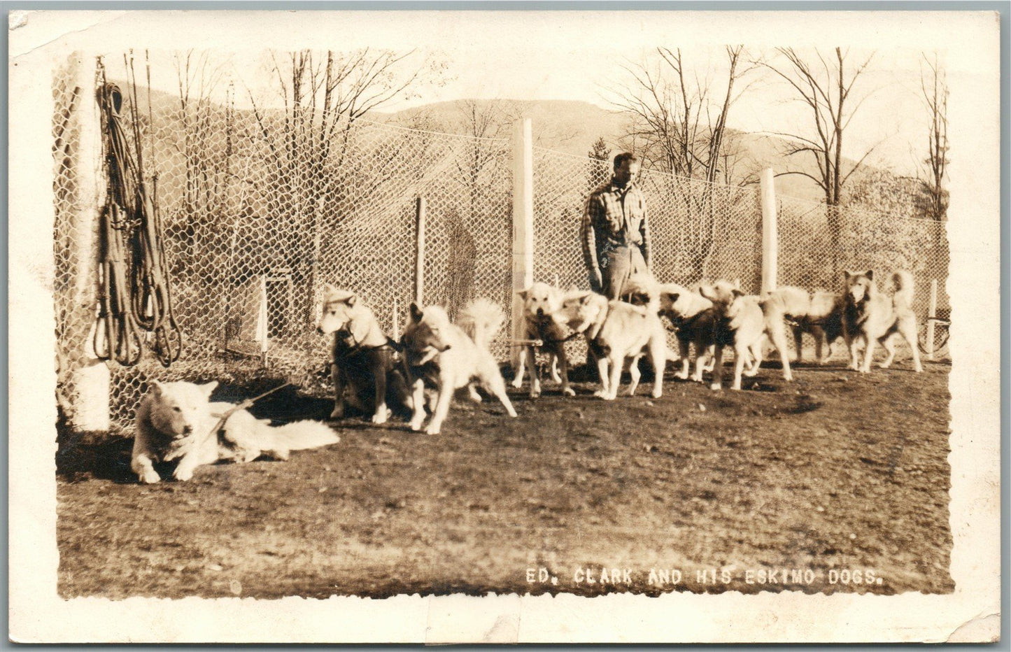 ANTRIM NH ED CLARK & HIS ESKIMO DOGS ANTIQUE REAL PHOTO POSTCARD RPPC