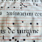 17th century ANTIPHONAL MANUSCRIPT on VELLUM ANTIQUE hand writing