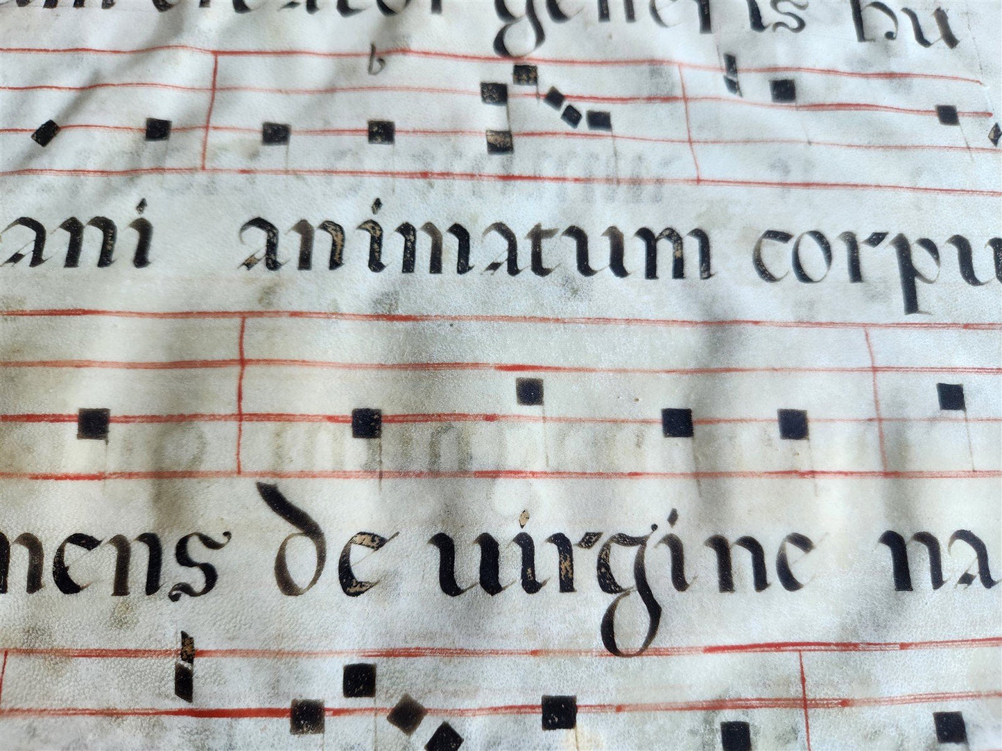 17th century ANTIPHONAL MANUSCRIPT on VELLUM ANTIQUE hand writing