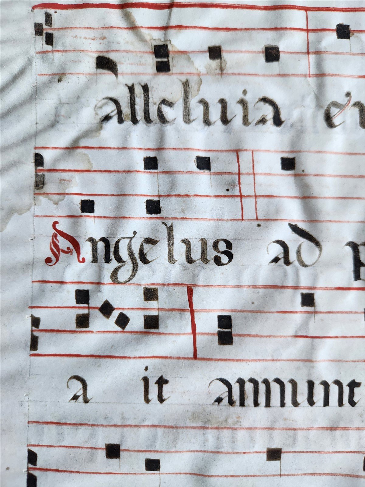 17th century ANTIPHONAL MANUSCRIPT on VELLUM ANTIQUE hand writing