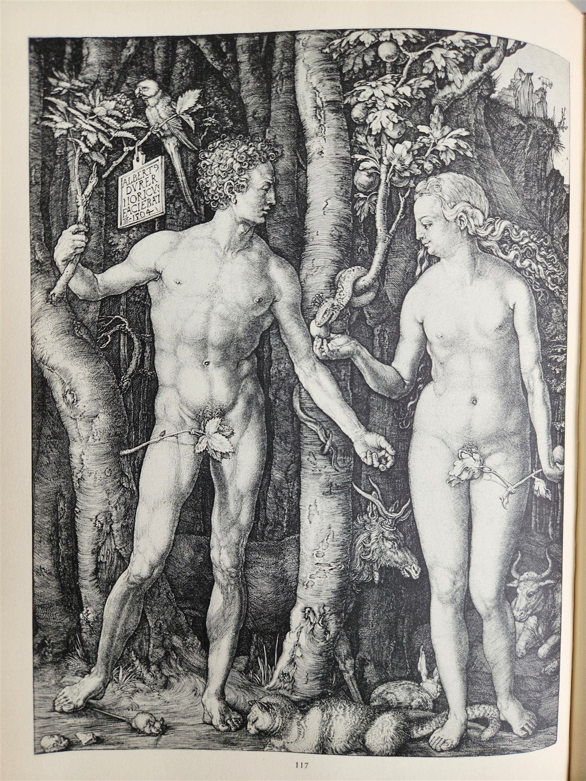 1943-1970 ALBRECHT DURER LOT of 3 ART & REFERENCE ALBUMS illustrated VINTAGE