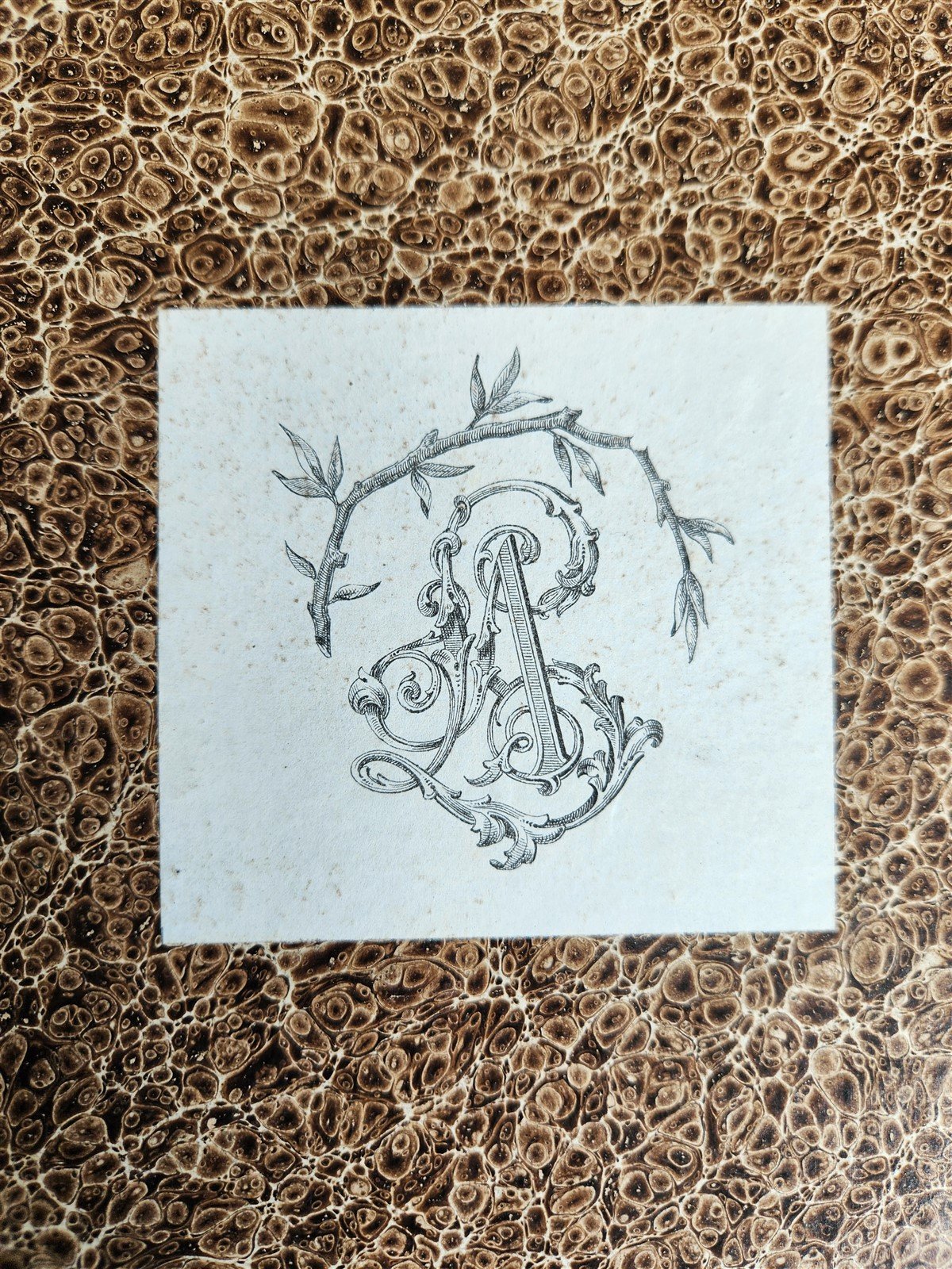 1881 VICTOR HUGO et SON TEMPS antique ILLUSTRATED in FRENCH