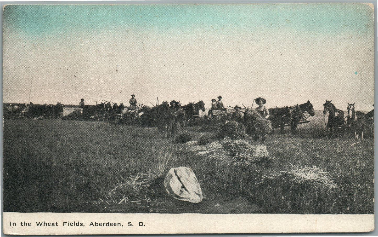ABERDEEN SD WHEAT FIELDS ANTIQUE POSTCARD