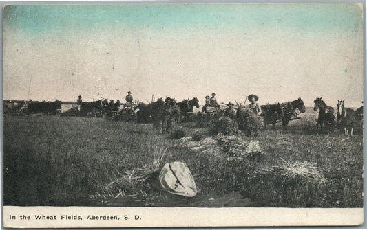 ABERDEEN SD WHEAT FIELDS ANTIQUE POSTCARD