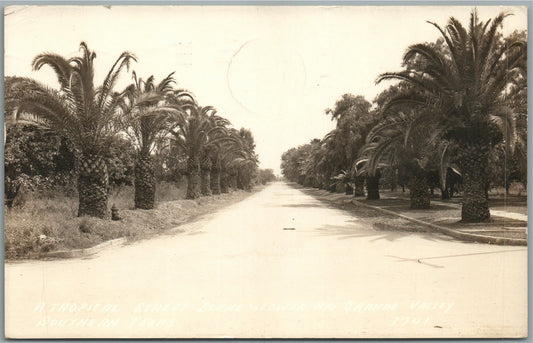 RIO GRANDE VALLEY TX TROPICAL STREET ANTIQUE REAL PHOTO POSTCARD RPPC