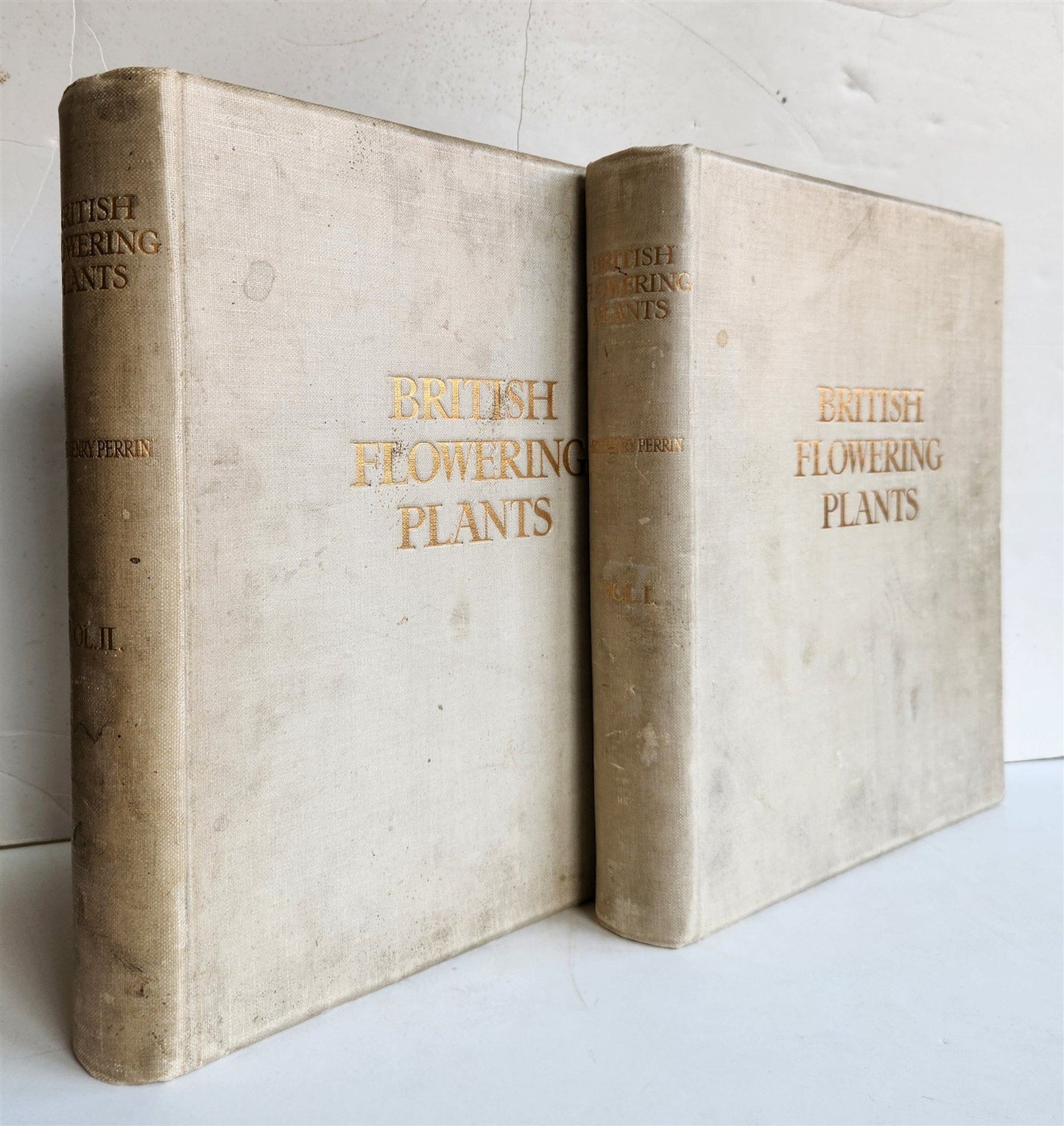 1914 BRITISH FLOWERING PLANTS antique ILLUSTRATED by PERRIN 2 folio volumes