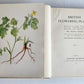 1914 BRITISH FLOWERING PLANTS antique ILLUSTRATED by PERRIN 2 folio volumes