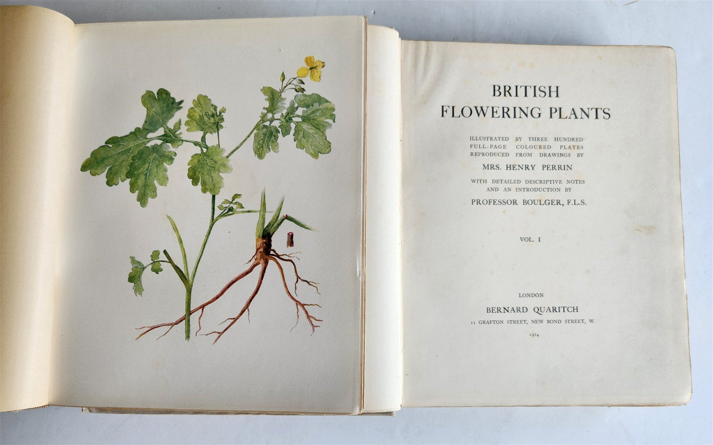1914 BRITISH FLOWERING PLANTS antique ILLUSTRATED by PERRIN 2 folio volumes