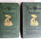 1879 TENT WORK in PALESTINE DISCOVERY & ADVENTURE antique 2 VOLUMES ILLUSTRATED