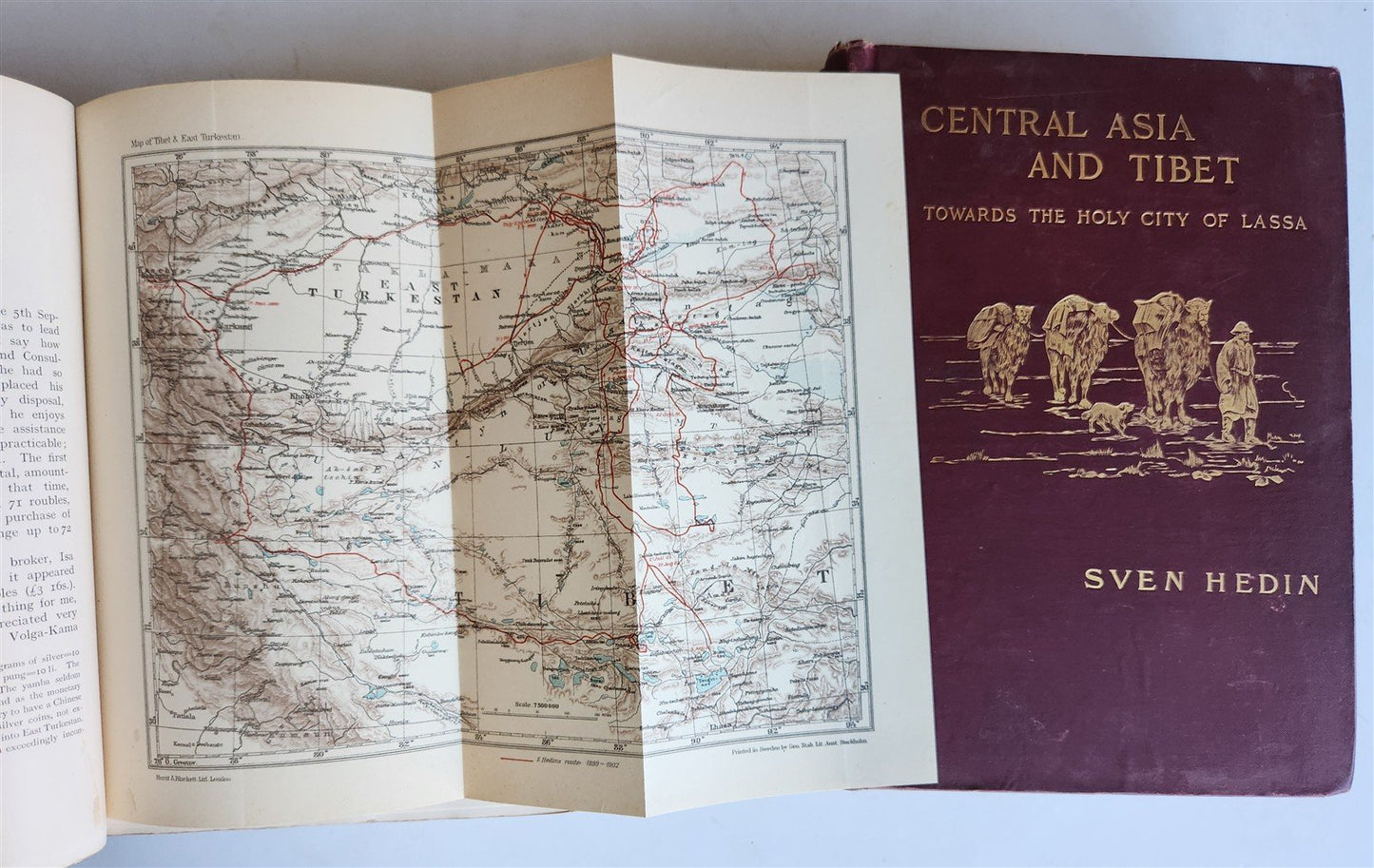 1903 CENTRAL ASIA & TIBET by SVEN HEDIN 2 VOLS antique ILLUSTRATED